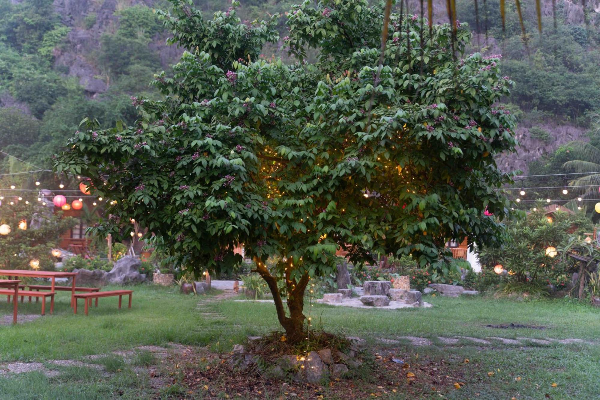 The Goat Boutique Resort نينه بينه المظهر الخارجي الصورة