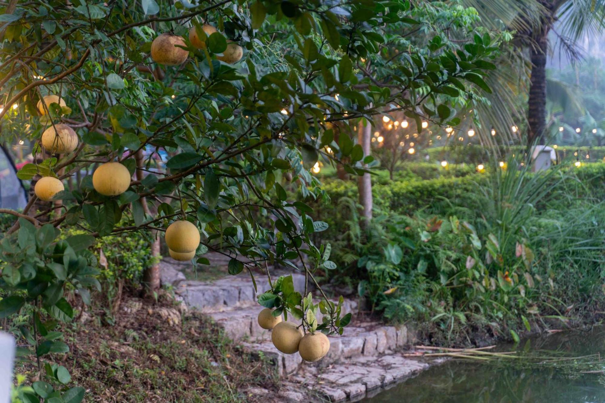 The Goat Boutique Resort نينه بينه المظهر الخارجي الصورة